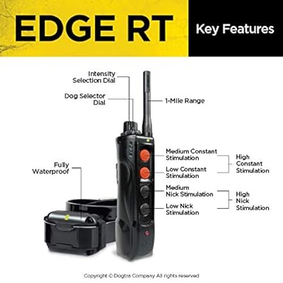Dogtra rt edge Clearance