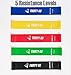 Thirty 48 Gliding Discs Core Sliders and 5 Exercise Resistance Bands | Strength, Stability, and Crossfit Training for Home, Gym, Travel | User Guide & Carry Bag