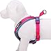 Blueberry Pet 4 Colors Soft & Comfy Summer Hope 3M Reflective Padded Dog Harness Vest, Chest Girth 24