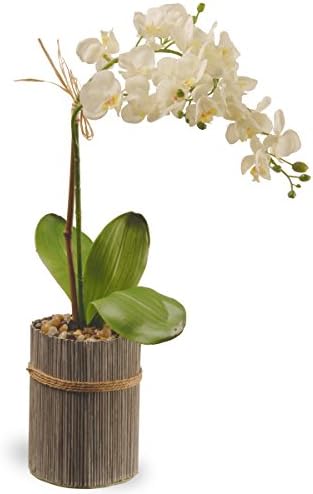 National Tree 20 Inch Garden Accents White Potted Orchid (GAPF30-20W)