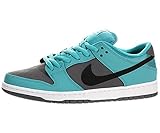 Nike Men's Dunk Low Pro SB Skate Shoe