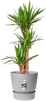 elho Greenville Round 30 Large Flower Pot with Integrated Water Reservoir view 3