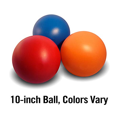 Virtually Indestructible Best Ball for Dogs, 10-inch