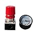 140psi Air Pressure Regulator and Gauge with 1/4-Inch Thread by Wadoy