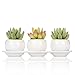 MyGift Set of 3 Realistic Artificial Succulent Planters w/Round White Ceramic Pots & Decorative Display Tray