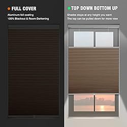 Changshade Blackout Cellular Shades Cordless, Top