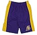 Los Angeles Lakers NBA Little Boys and Big Boys Team Shorts - Purple