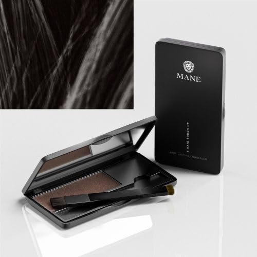 Mane Hair Touch Up to Conceal Roots, Cover Bald Spots, Fill in Beards and fine Hair Lines (Black)