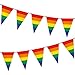 Gay Pride Flag Rainbow Colored String Pennant Flags LGBT Banner 33ft Party Decoration (M1006)