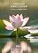 Livro Lodo e a Flor: Crônicas das Sementes - Mestria (Crônicas da Semente - Mestria Livro 6)