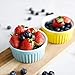 Sweese 502.002 Porcelain Souffle Dishes, Ramekins - 4 Ounce for Souffle, Creme Brulee and Dipping Sauces - Set of 6, Hot Assorted Colors