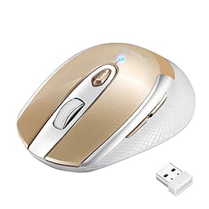 Wireless-Mouse-for-Laptop-Silent-Cordless-USB-Mouse-Wireless-Optical-Computer-Mouse-6-Buttons-Battery-Included1600DPI-with-3-Adjustable-Levels-for-Windows-1087XPMacMacbook-ProAirHPAcer Wireless Mouse for Laptop Silent Cordless USB Mouse Wireless Optical Computer Mouse, 6 Buttons, AA Battery Used,1600DPI…
