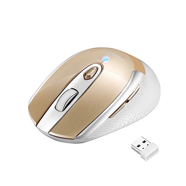 Wireless Mouse for Laptop Silent Cordless USB Mouse Wireless Optical Computer Mouse, 6 Buttons, AA Battery Used,1600DPI…