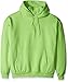 Hanes Men's Pullover EcoSmart Fleece Hooded Sweatshirt
