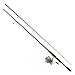 Daiwa REV25-4BI/G662ML Revros Freshwater Spinning Combo, 4Rb+1Rb Bearings, 6'6