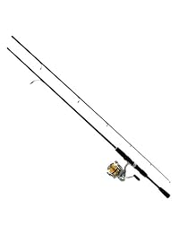 Daiwa REV25 4BI G662ML Revros Freshwater Spinning Combo, 4Rb+1Rb rodamientos, 6'6" Longitud, 2Piece Rod, Mediano Light Power