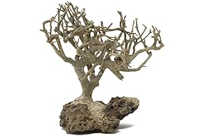 Bonsai Driftwood Mini Aquarium Tree BS (3.5 Inch Height) Natural, Handcrafted Fish Tank Decoration | Easy to Install
