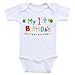 Heart Co Designs First Birthday Baby Clothes - My 1st Birthday - OnePiece Bodysuits (18mo-Short Sleeve, Color As Shown)