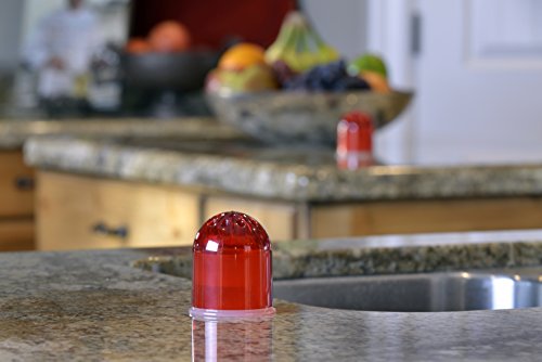 RESCUE! Non-Toxic Reusable Fruit Fly Trap, 2 Pack