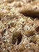 Sprouted Wheat - Bread - Artisan Loaf - 2 pack