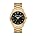 Gold/Black Dial