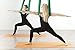 DASKING Premium Aerial Yoga Hammock Kit Flying Yoga Silk Kit (Dark Green)