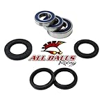 01-09 SUZUKI GSXR600: ALL BALLS REAR WHEEL BEARING KIT