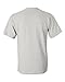 Gildan Heavy Cotton 5.3 oz. T-Shirt, Medium, ASH GREY