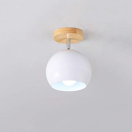 Wpoled Modern Simple Iron Metal Ceiling Lamp Entrance Antique E27