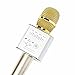 Portable Wireless Microphone Karaoke Mic / FOJNY Mini Bluetooth Handheld Speaker / Q9 Karaoke Stereo Player for Music Playing, Mini Home KTV Karaoke for Apple Iphone Android Smartphone or PC (Q9 Gold)