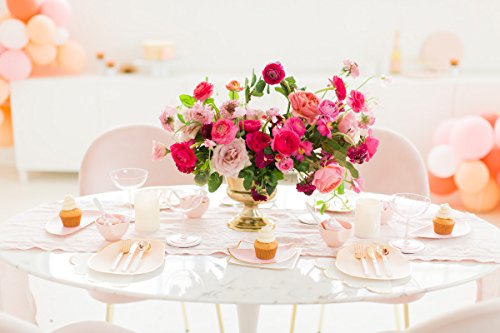 Sugar & Cloth Pale Pink Disposable Plastic Champagne Coupe Set, 4-Piece - Thumbnail 6