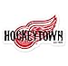 Detroit Red Wings NHL car bumper sticker decal (5