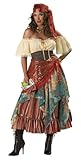 InCharacter Costumes Women's Fortune Teller Costume Tan/Red/Blue, Large