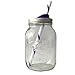 Mason Drinking Jar with Straw and Sip Lid 32oz (purple)