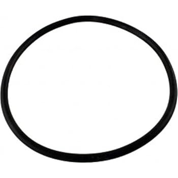 Amazon.com: Hayward AXW542 O-Ring Replacement for Leaf