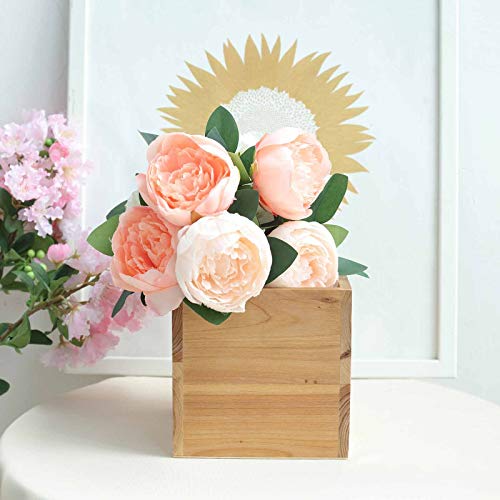 Other Kitchen, Dining &amp; Bar - BalsaCircle 4 pcs 6-Inch ...