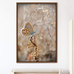 signwin Framed Canvas Wall Art Butterfly Expressive Farmhouse/Country...