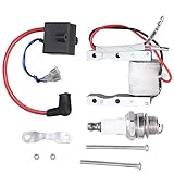 High Performance CDI Ignition Coil + Magneto Coil + Spark Plug for 49cc-80cc 2-Stroke Engine Motorized Bicycle Bike