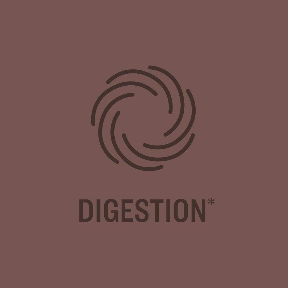  Brand - Revly Digestive Enzyme Complex, Supports Healthy Digestion, 180 Count Capsules, 90 Servings, Satisfaction Guaranteed: Health & Personal Care