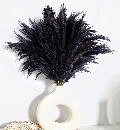 Black Pampas Grass