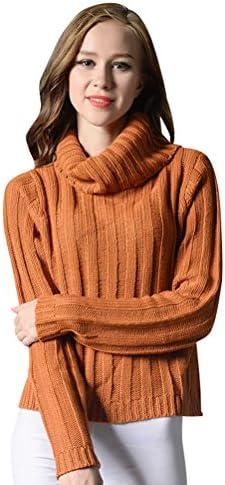 AiseBeau Women Turtleneck Sweater Casual Loose Turtle Neck Top Warm Sweater