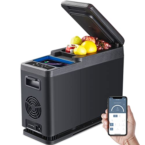 bodega 12v compressor fridge