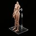 Jili Online 1:6 Display Stand Bracket Support for 12'' Hot Toys Phicen Kumik Figure Toy