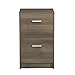 DEVAISE 2-Drawer Wood Vertical File Cabinet / Letter Size, 16.2