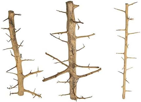 TM Aquatix Aquarium Wood Decoration Premium Pieces 100% Natural (15-20cm, Tree Wood)