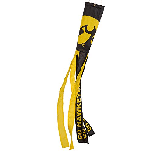 College Flags and Banners Co. Iowa Hawkeyes Windsock