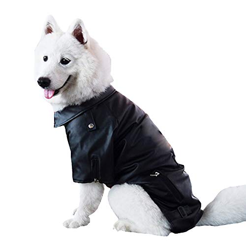 small dog leather jacket