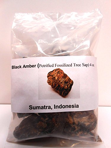 Black Amber-Genuine Petrified fossilized tree sap from Sumatra, Indonesia 4 oz