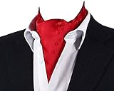 MENDENG Men's Red Floral Paisley Jacquard Woven Silk Cravat Necktie Scarf Ascot