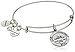 Alex and Ani True Direction Rafaelian Silver Bangle Bracelet